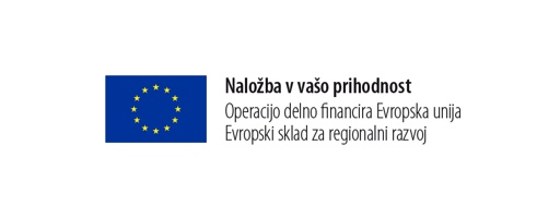EU Naložba v prihodnost