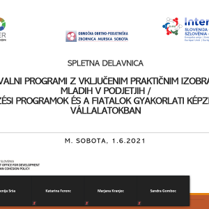 Izvedena delavnica Izobraževalni programi z vključenim praktičnim izobraževanjem mladih v podjetjih-1.6.2021