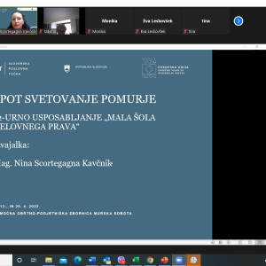 Mala šola delovnega prava