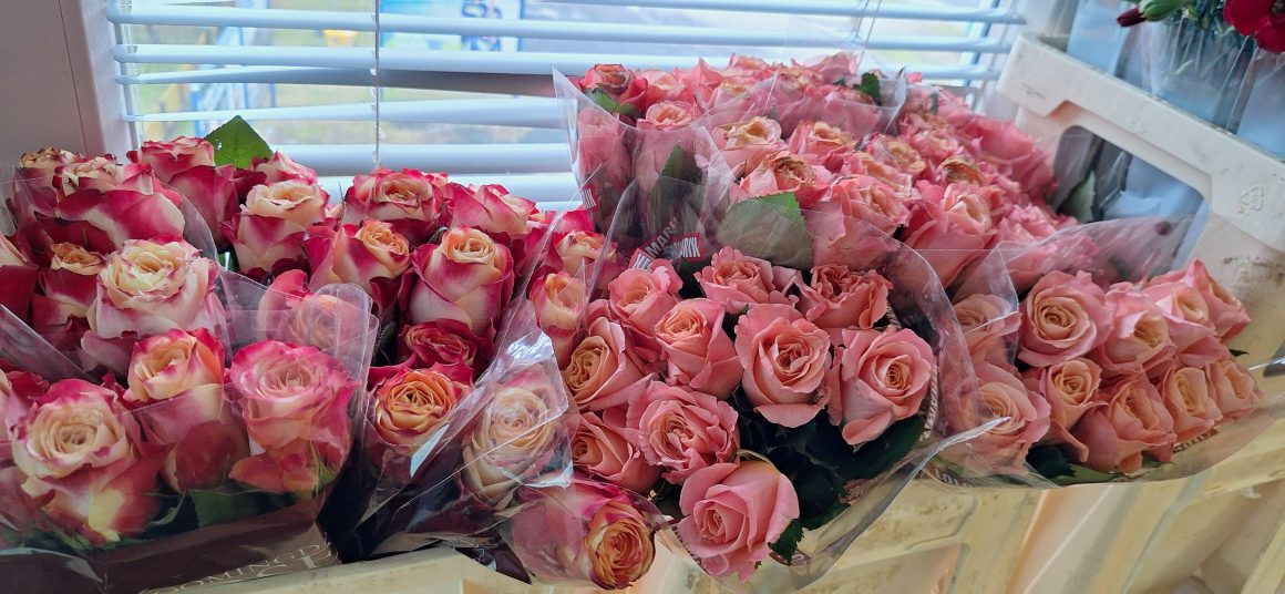 Izvedeno izobraževanje cvetličarjev