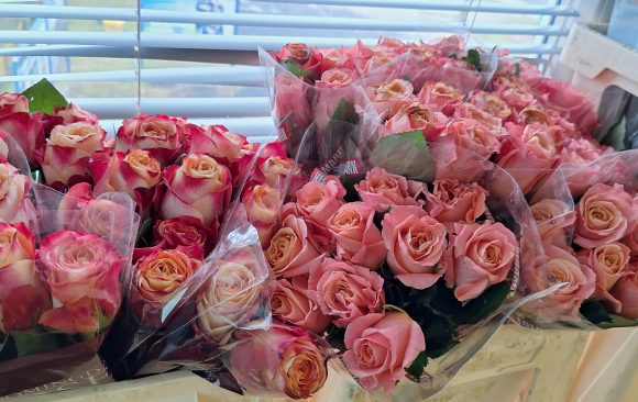 Izvedeno izobraževanje cvetličarjev